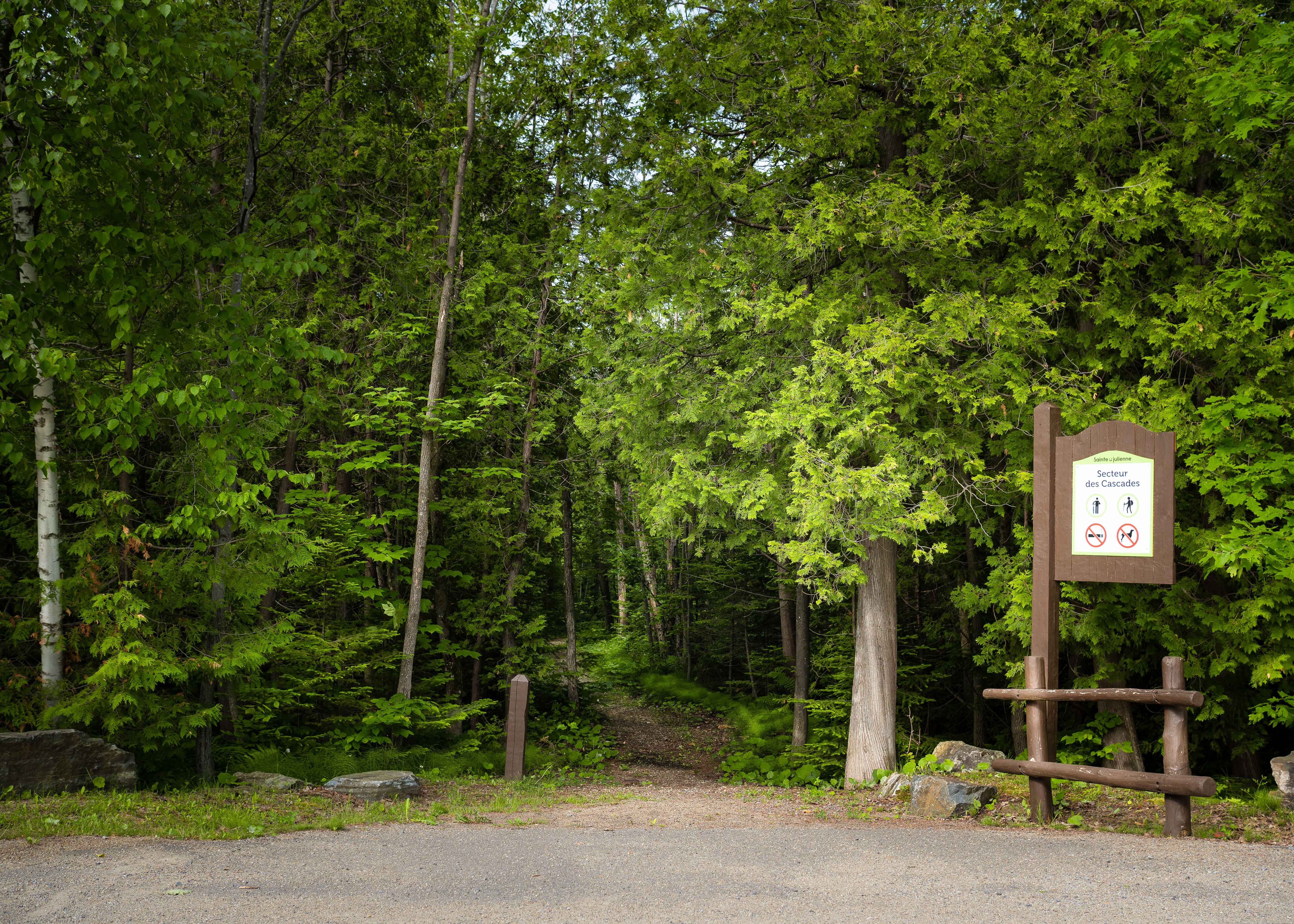forêt de ste julienne