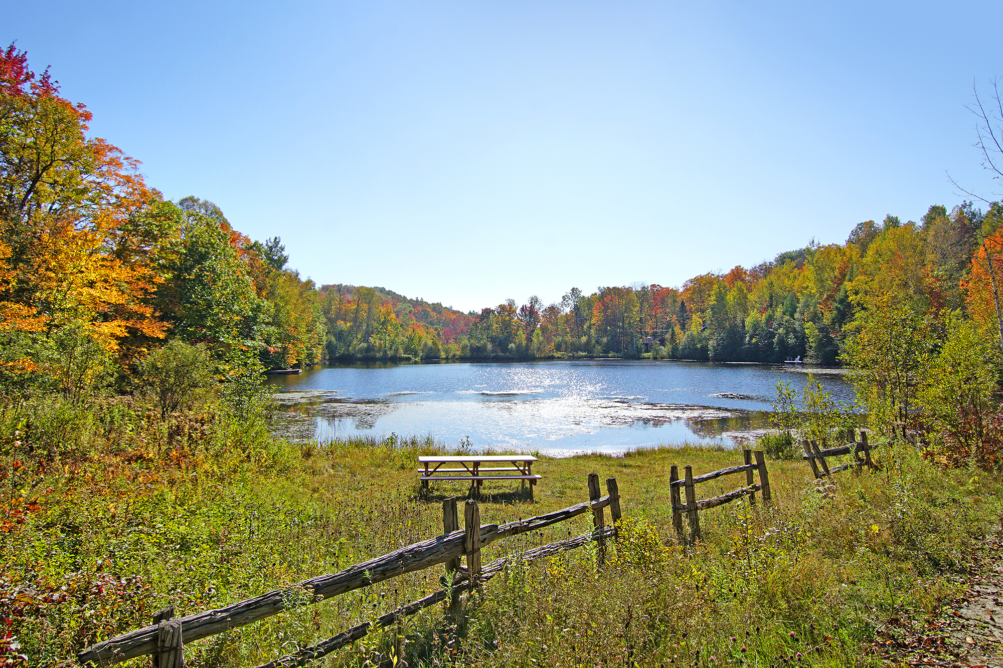 lake in the forest during fall