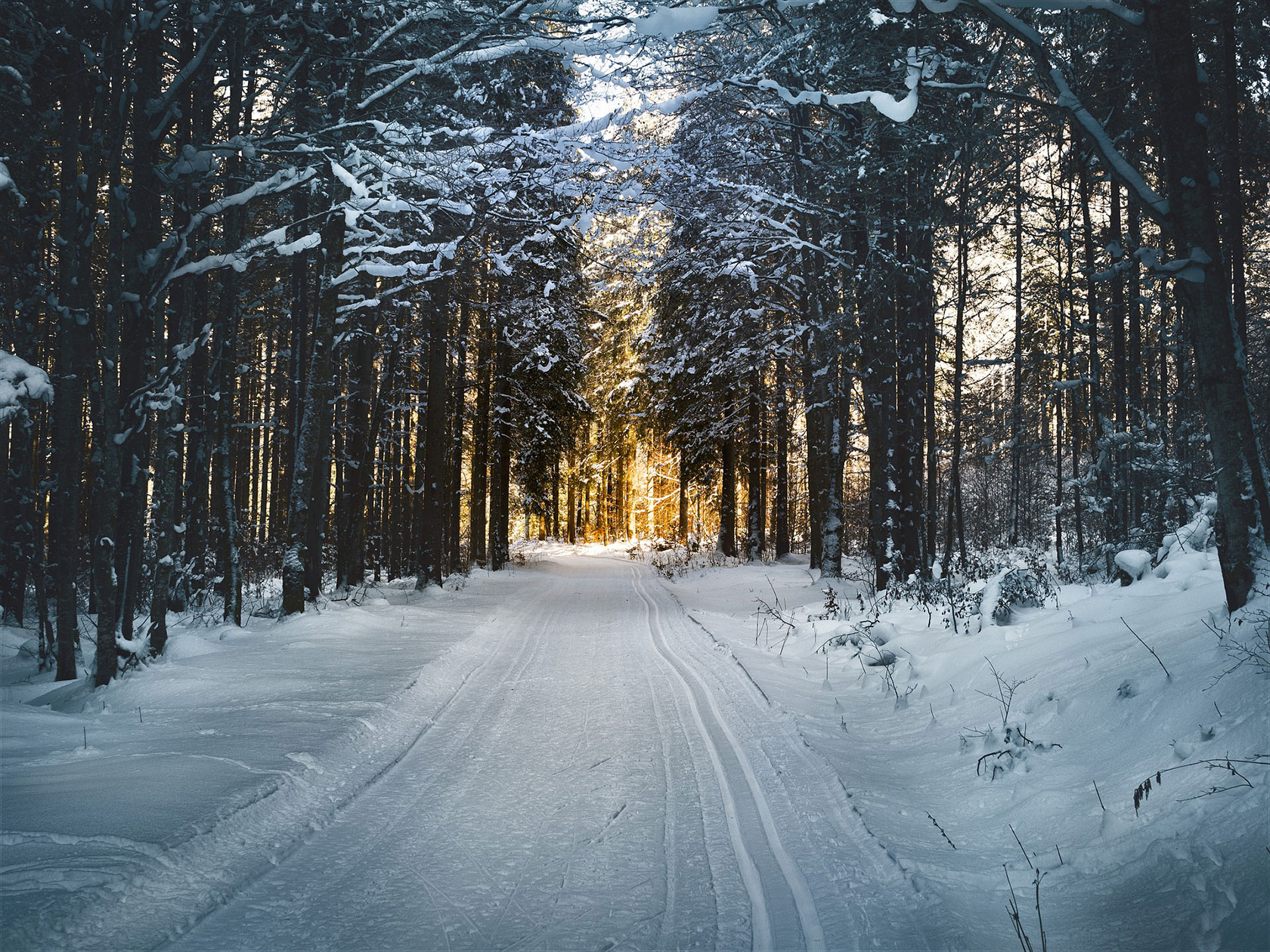 arundel terrains foret