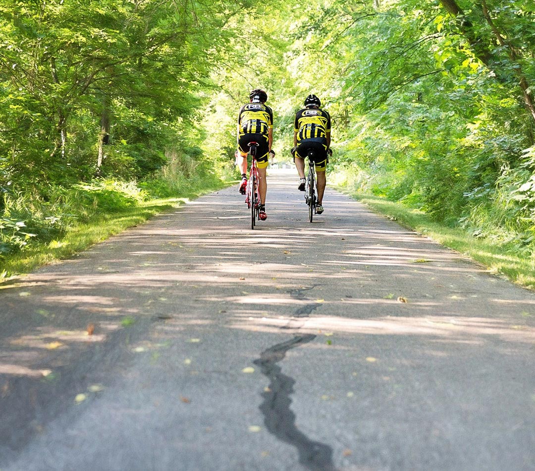 cyclistes en forêt