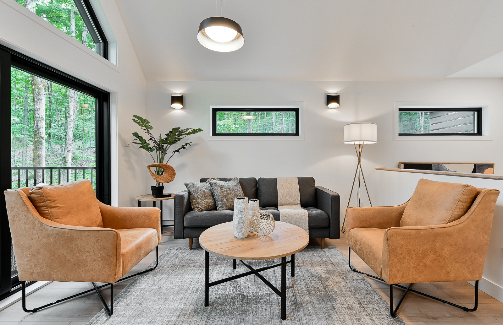 salon maison scandinave